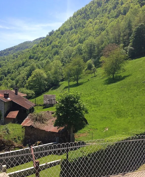 Pré face au gîte où viennent les biches